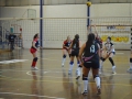 Baby Volley 2015 DSC_02701
