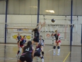 Baby Volley 2015 DSC_02721