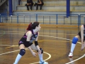 Baby Volley 2015 DSC_03111