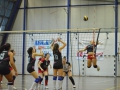 Baby Volley 2015 DSC_03571